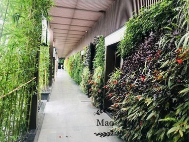 匯隆集團十樓會所生態植物墻項目